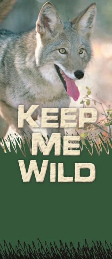 Keep me wild